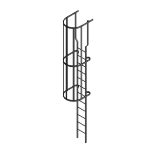 Cage Ladder (unhosted)