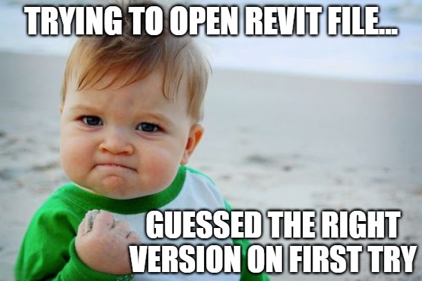 engipedia-meme-yes-kid-guessed-revit-version